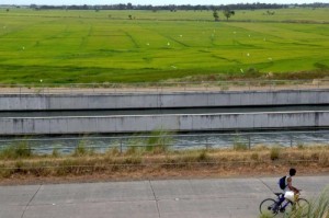 The main canal from Pantabangan Reservoir irrigates around 90,000 hectares in the Philippines’ Central Luzon region. (Photo: Raymond Jose Panaligan)