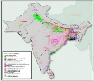 The map shows 11 classes of rice cultivation covering 50.6 million hectares in Soutj Asia.