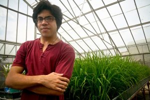 Aryo Feldman is involved in IRRI’s C4 rice project, which is looking to introduce characteristics of the C4 photosynthetic pathway of crops such as maize into rice, which could significantly raise the potential yield of tropical rice.