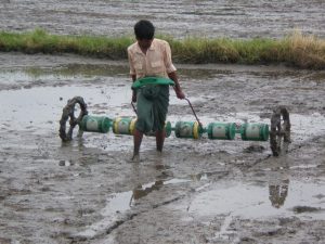 A farmer in Myanmar directly seeds his rice crop using a drum seeder. (Photo: David Johnson)