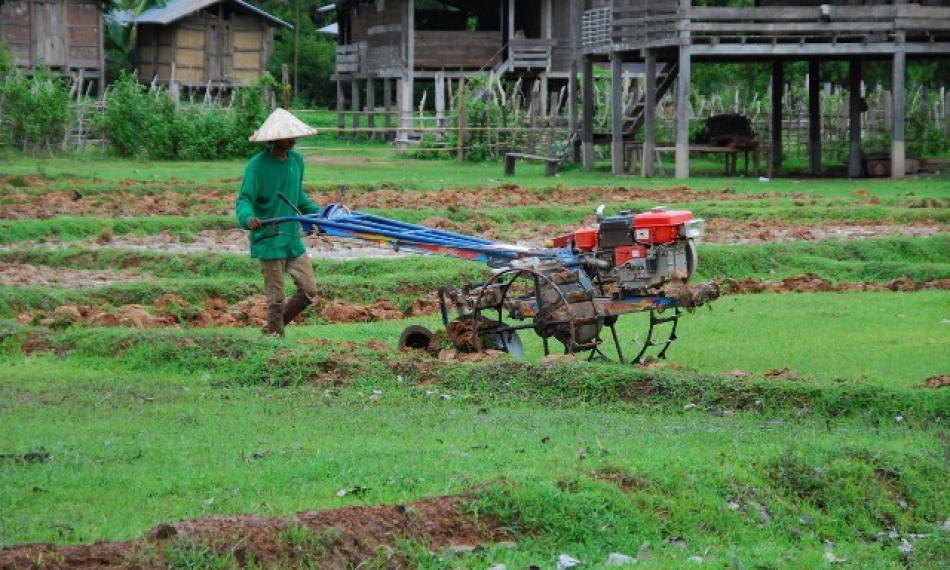 In Lao PDR, rice production is an important livelihood of 724,000 farmers. (Photo: IRRI)