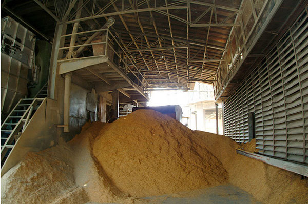 Once an unwanted waste material, rice husk is now used as fuel for generating electricity for households and industries as well as a replacement for wood in many products. (Photo: IRRI)