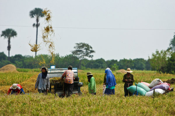 Rice farming machine