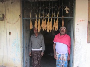 Braided Swarna-Sub1 paddy is hung in front of the house to bring prosperity. (Photo: Debdutt Behura)