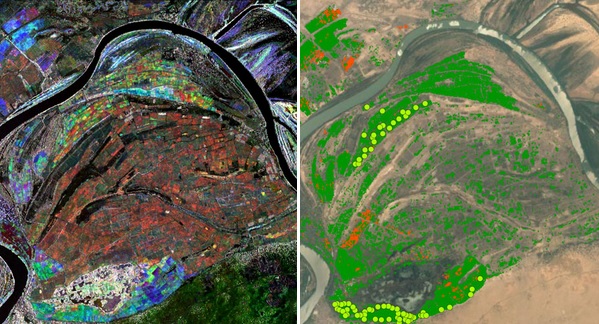 Rice classification of rice (green) and late rice (orange) superimposed on a Google Earth image. The green dots are field verification points of rice.