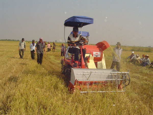 Modernizing Asian rice production. (Photo: Martin Gummert)