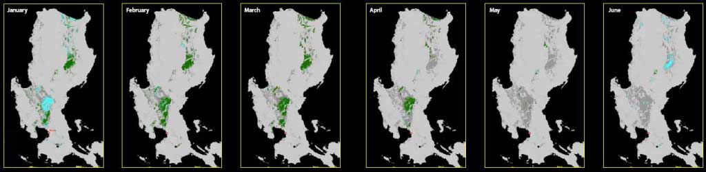 Progression of rice crop in Luzon, Philippines