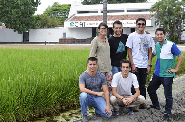 CIAT's award-winning data crunchers: (From left – above) María Camila Rebolledo, Daniel Jiménez, Víctor Hugo Patiño, Juan Felipe Rodríguez. (From left – below) Hugo Andrés Dorado, Sylvain Delerce. (Photo: CIAT)