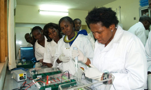 Ms. Afolabi Oluwatoyin Oluwakemi (far right), research assistant at AfricaRice Center is training young researchers how to detect pathogens that cause diseases in rice. (Photo: R. Raman,  AfricaRice)