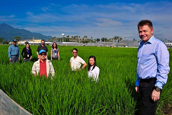 THE CORE TRB team members take a break in one of their multi-environment trial plots. Foreground: Eero Nissilä; middle row (left to right): Glenn Gregorio, Bert Collard, Richievel Ibanez; background (left to right): Rafiqul Islam, Gina Vergara, Michael Thomson, Alice Laborte. (Photo: Isagani Serrano)