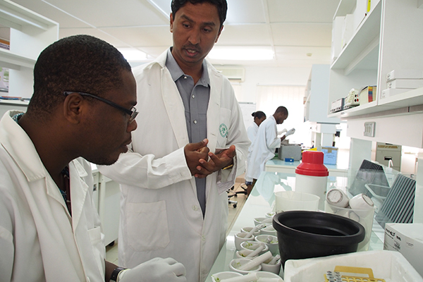 DR. RAMAIAH confers with Arnaud Gouda, a research technician in the AfricaRice Biotechnology Laboratory, where they are "mining" for alleles in the genebank. (Photo: R Raman, AFRICARICE)