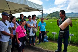  Many of IRRI's new technologies are tested in the Philippines and first made available to Filipino farmers ahead of the rest of the world. 