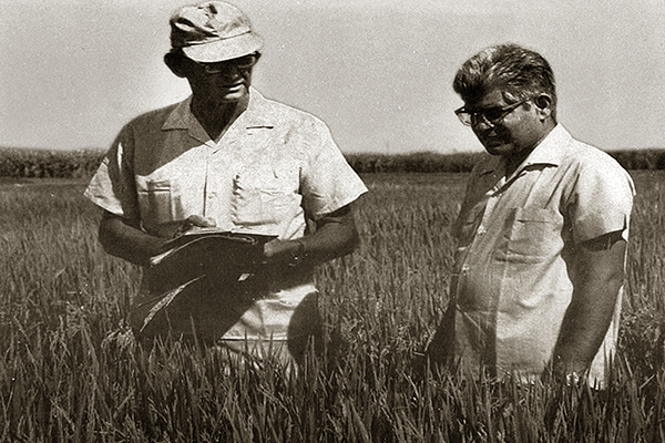  THE FIRST joint coordinators of AICRIP were S.V.S. Shastry (right) and Wayne Freeman. (DRR)