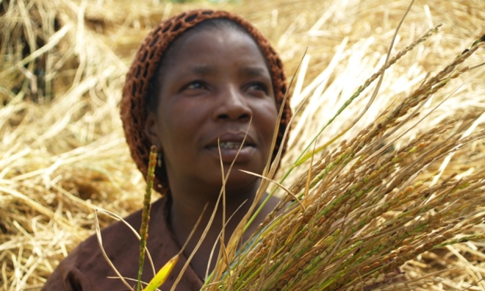 (Photo: R. Raman/AfricaRice)