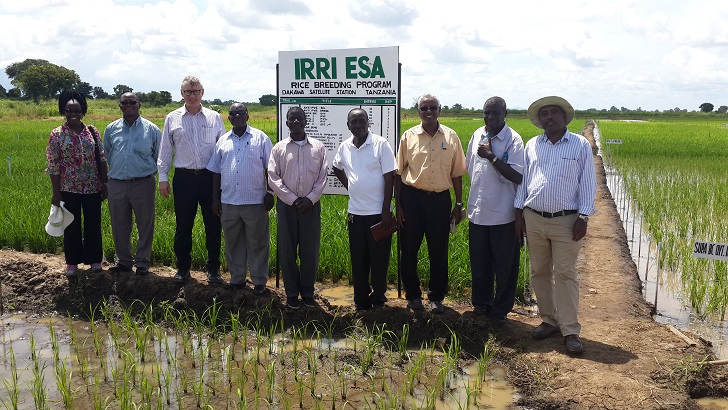 IRRI scientists and their partners work together to improve Tanzania’s rice sector. (From left) Dr. Rosemary Murori, IRRI rice breeder; Dr. Joseph Bigirimana, IRRI coordinator in Eastern and Southern Africa; Dr. Matthew Morell, IRRI deputy director general for research; Mr. George Iranga, head of Chollima Research Centre; Dr. Mohammed Mkuya, IRRI researcher; Mr. Joel Absalum Zakayo, agronomist, Chollima Research Centre; Abdelbagi Ismail, IRRI principal scientist; Dr. Zak Kanyeka, IRRI rice breeder; and Dr. Setegn Gebeyehu, IRRI agronomist and seed specialist. (Photos by IRRI)