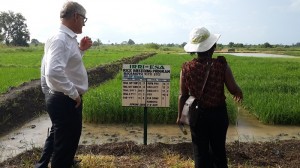 Dr. Matthew Morell, IRRI deputy director general for research, and Dr. Rosemary Murori, IRRI rice breeder, visit the IRRI research site near the town of Bagamoyo, Tanzania. (Photo: IRRI)