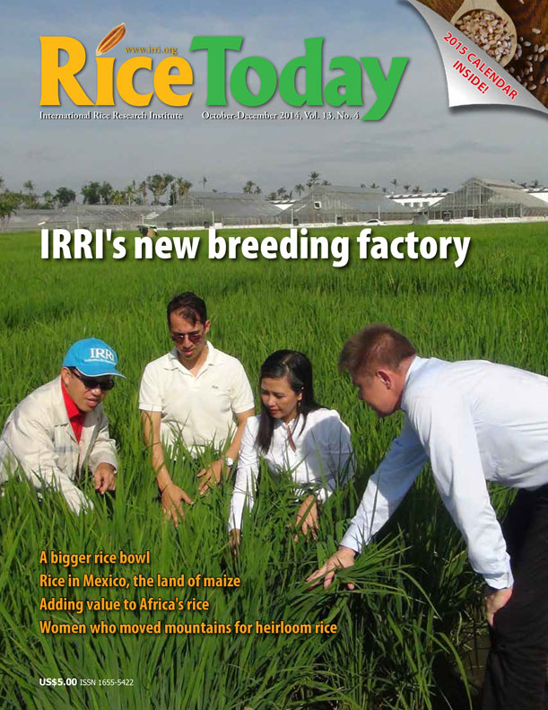 IRRI's new breeding factory