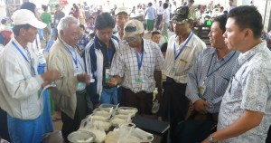 Farmers from Bogale and other townships visited the Wardan Wholesale Market. In this activity, farmers realized that Bogale rice obtained the lowest price in the market because of its poor quality. Photo by Reianne Quilloy.