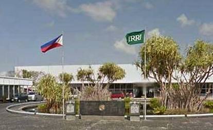 33. IRRI-Philippine flags