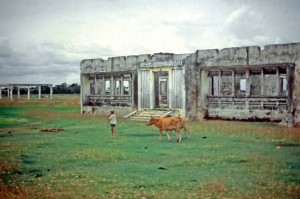 Agricultural Research facilities damaged during the war in Cambodia. (Photo: G. Denning)