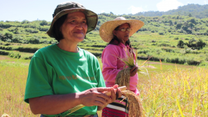 Like millions of Filipinos, Neneng aspired to leave the country and seek greener pastures abroad.