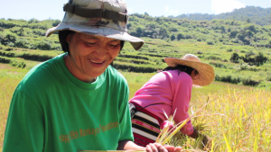 Thanks to heirloom rice Neneng is able to save money her family’s needs and her children’s education.