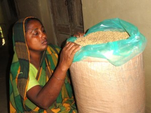 Selina Akter checks the condition of seeds before sealing the IRRI Super Bag. (Photo: GRiSP)