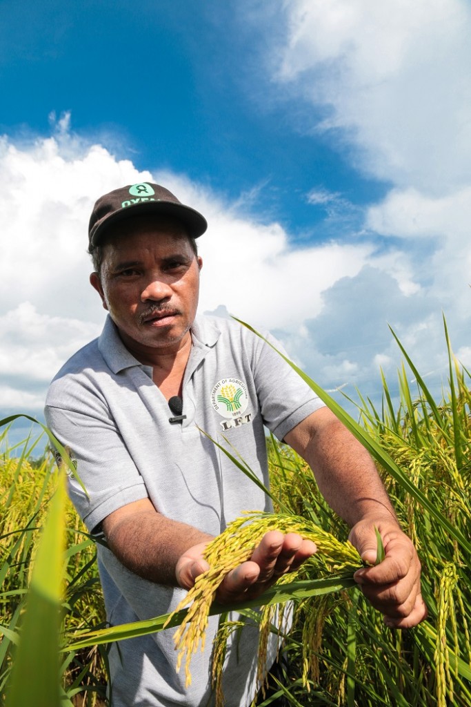 Coconut farmer-turned-Green Super Rice farmer Felicito Montano shows off the superior grains of GSR 8. When typhoon Haiyan destroyed most of his coconut crops, GSR 8 provided him with a substantial alternative source of income. (Photo: IRRI/Jessieca Narciso)