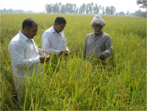 2. QCs with farmer