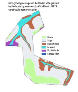 Figure 1. AfricaRice research station in M’bé has all the main rice-growing agro-ecologies.