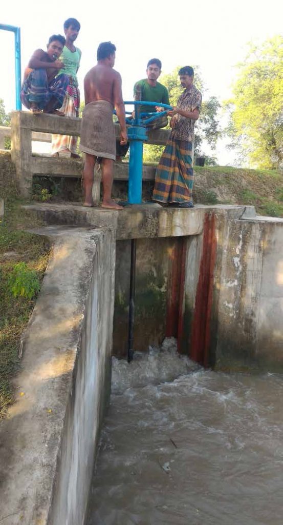 The lack of water governance in timing the opening and closing of sluice gate is a major hindrance to agricultural productivity in the polder communities of Bangladesh. (Photo: IRRI)