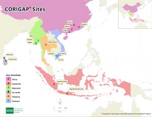 CORIGAP sites