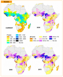 Projected rainfall patterns in Africa.