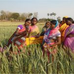 Women farmers in Munger India Pic Credit ITC