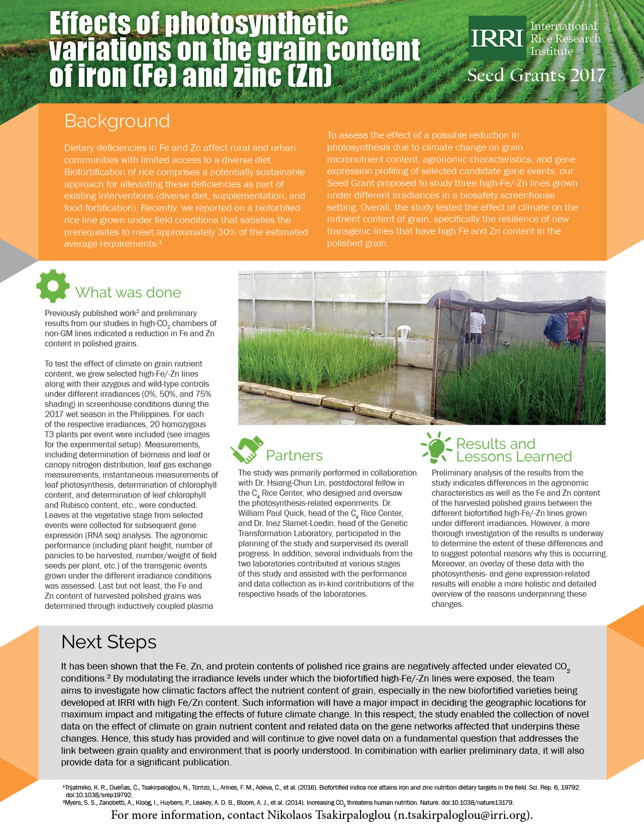 Effects of photosynthetic variations on the grain content of iron and zinc (Click to enlarge) 