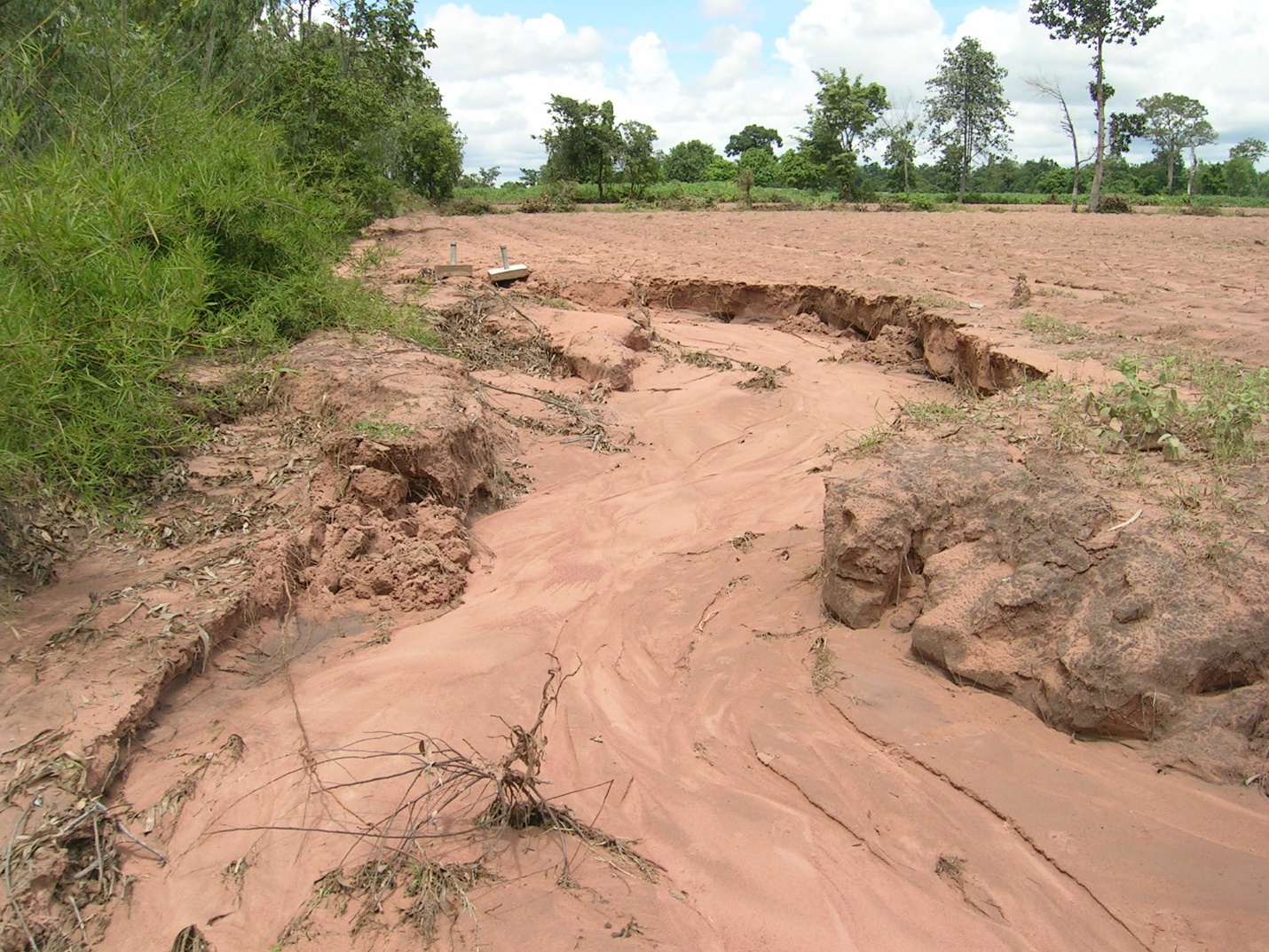 Soil erosion in northeast Thailand. Losing precious surface soil which is already been degraded with very low soil organic carbon and nutrients. (Photo by Yuji Niino, FAO)