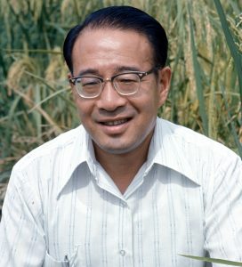  On 12 March 1988, T.T. Chang, IRRI’s first geneticist (and principal scientist at the time), and Peter Jennings, IRRI’s first rice breeder, shared the Rank Prize for Agronomy and Nutrition. In the early days after they were hired by IRRI’s first director general, Robert Chandler, they quickly assembled a large collection of rice varieties, including the short-statured cultivars from Taiwan. From this early assemblage of germplasm, Jennings made the crosses that ultimately resulted in IR8. However, exactly 19 years later on the same date, 12 March 2007, IRRI's Genetic Resources Center (GRC) was named the T.T. Chang Genetic Resources Center in his memory. He had passed away, at age 78, the previous year on 24 March 2006. (Photo: IRRI)