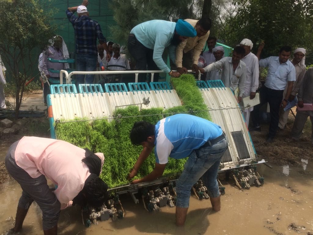 Farmers at an on-site demonstration for transplanting hydroponically grown rice seedlings. (Photo: Ayurvet Research Center)