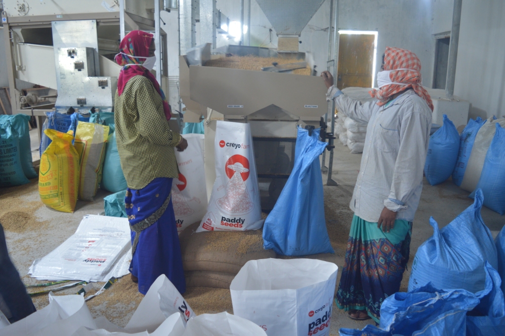 The paddy seed processing unit at Boden Village in Dharamgarh. The processed seeds will be sold under the Creyo brand. (Photo IRRI India).