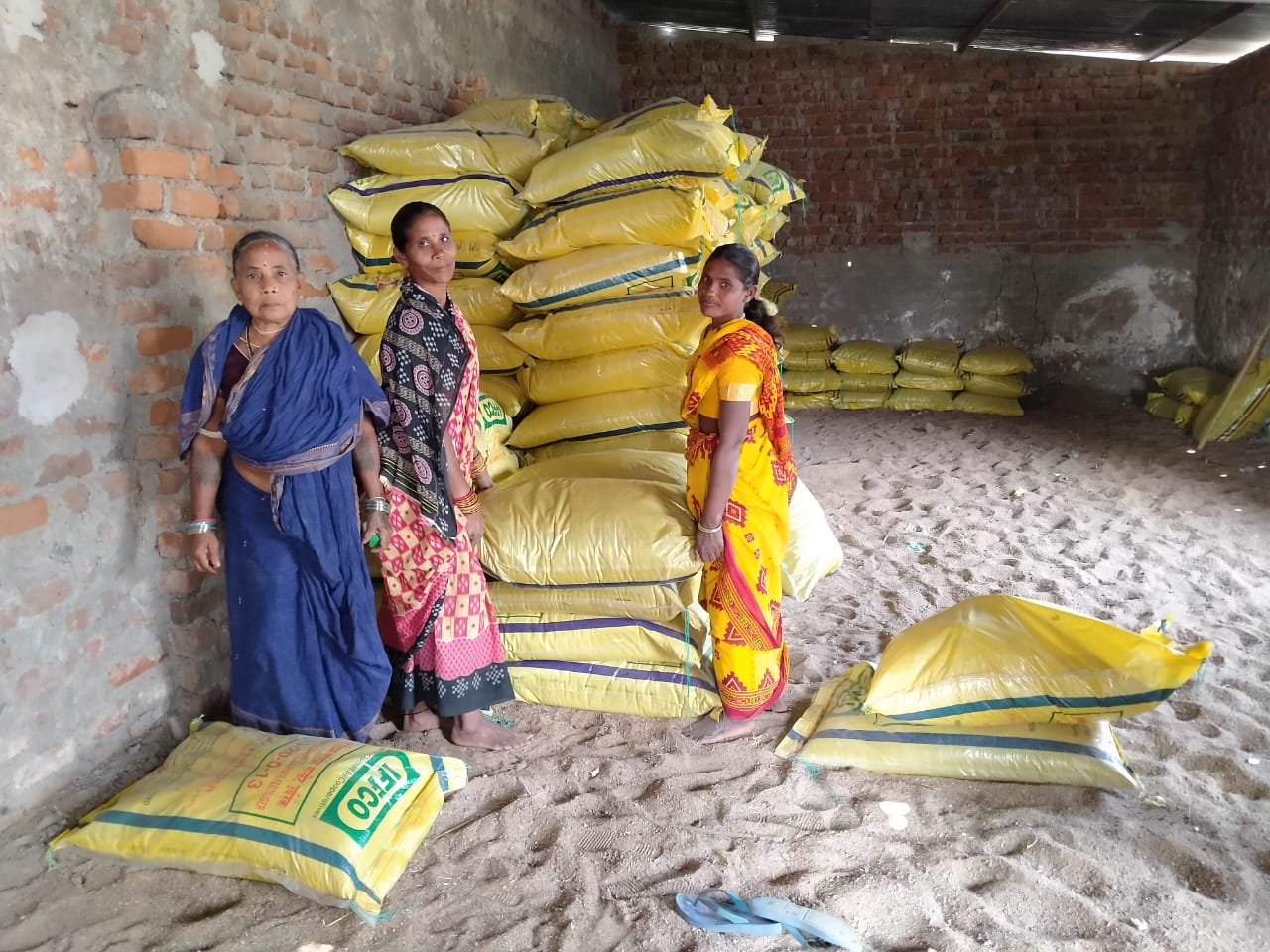 Women farmers distributing fertilizer in Kundamal Village, Dharamgarh, Kalahandi. (Photo: IRRI India)