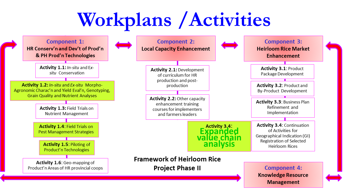 For HRP Phase II, IRRI was directly responsible for the activities highlighted in green boxes. 